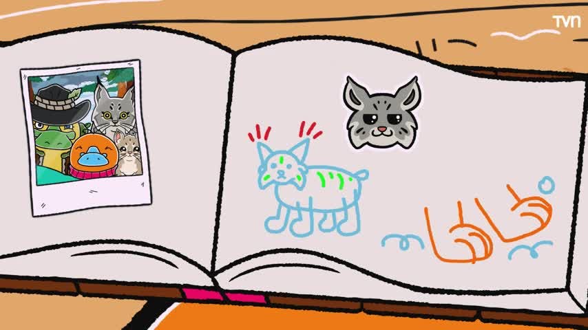 Hola Flinko de NTV: "Lince de Canadá"