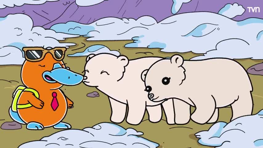 Hola Flinko de NTV: "Oso Polar" 