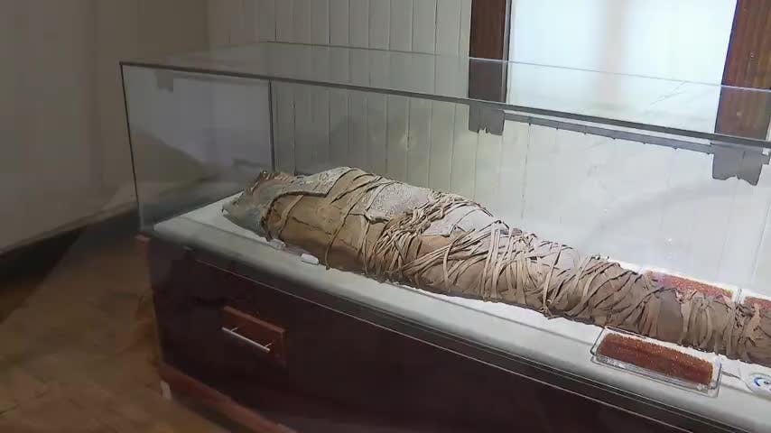 Momia egipcia de Hualpén se sometió a scanner para develar sus secretos