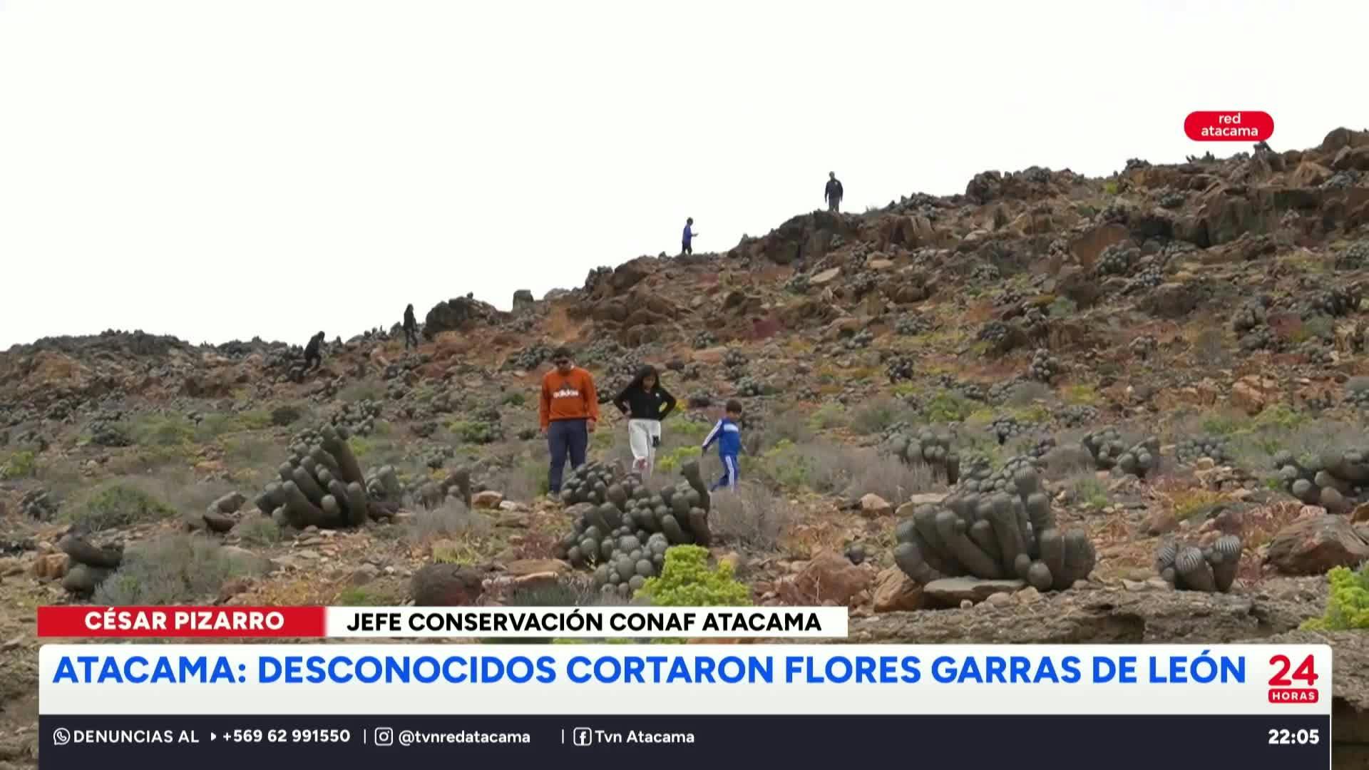 24 Horas Central Red Atacama - 15 de Octubre 2025