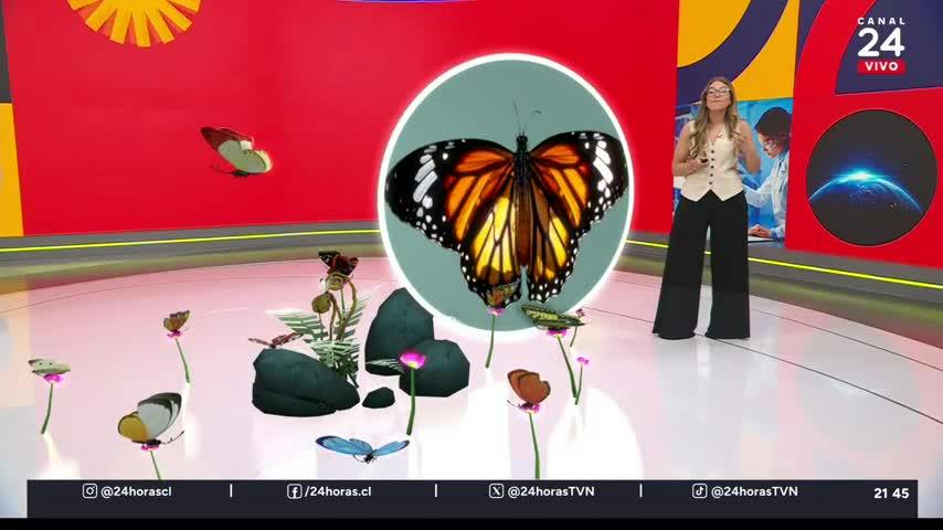 Conciencia 24.7 en 24 Horas: 10 de octubre 2025