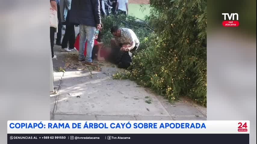 Investigan caída de árbol donde resultó lesionada apoderada
