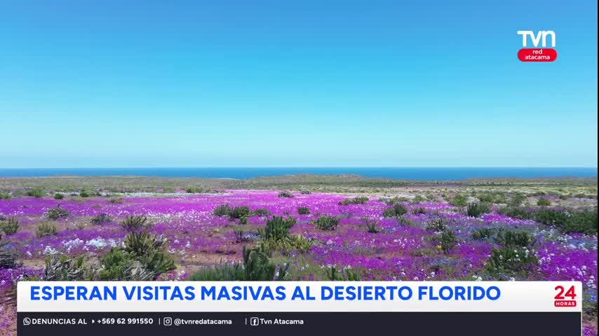 Proyectan masiva llegada de turistas a la región de Atacama