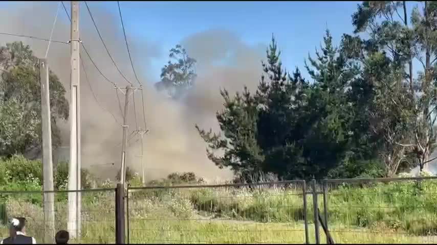 Incendio en Los Batros resulta en casi une hectárea quemada del humedal