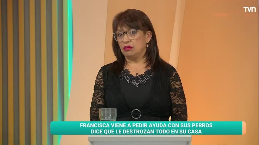 Carmen Gloria a tu servicio | Capítulo 3 de noviembre 2025