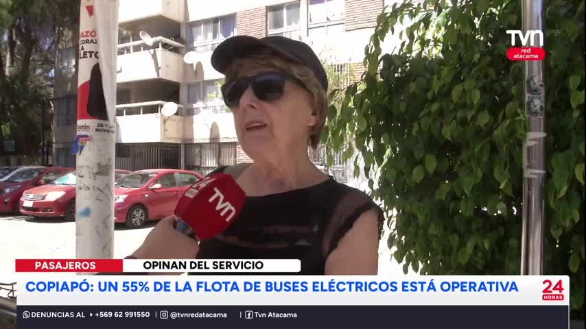 Buses eléctricos: Un 55% de la flota está operativa