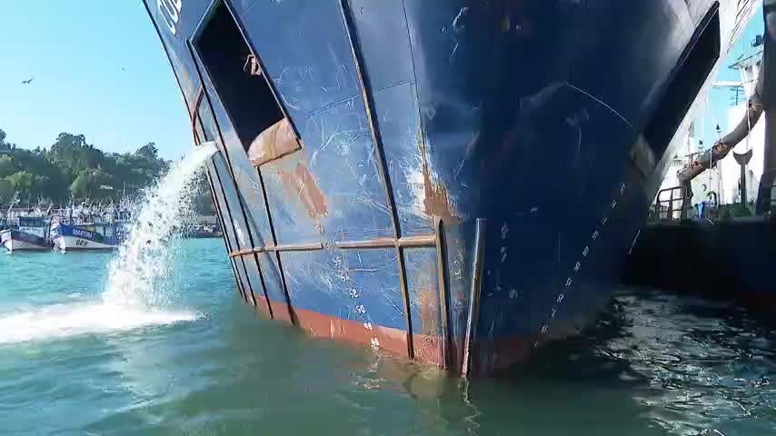 Piden detener mantención del PAM Cobra