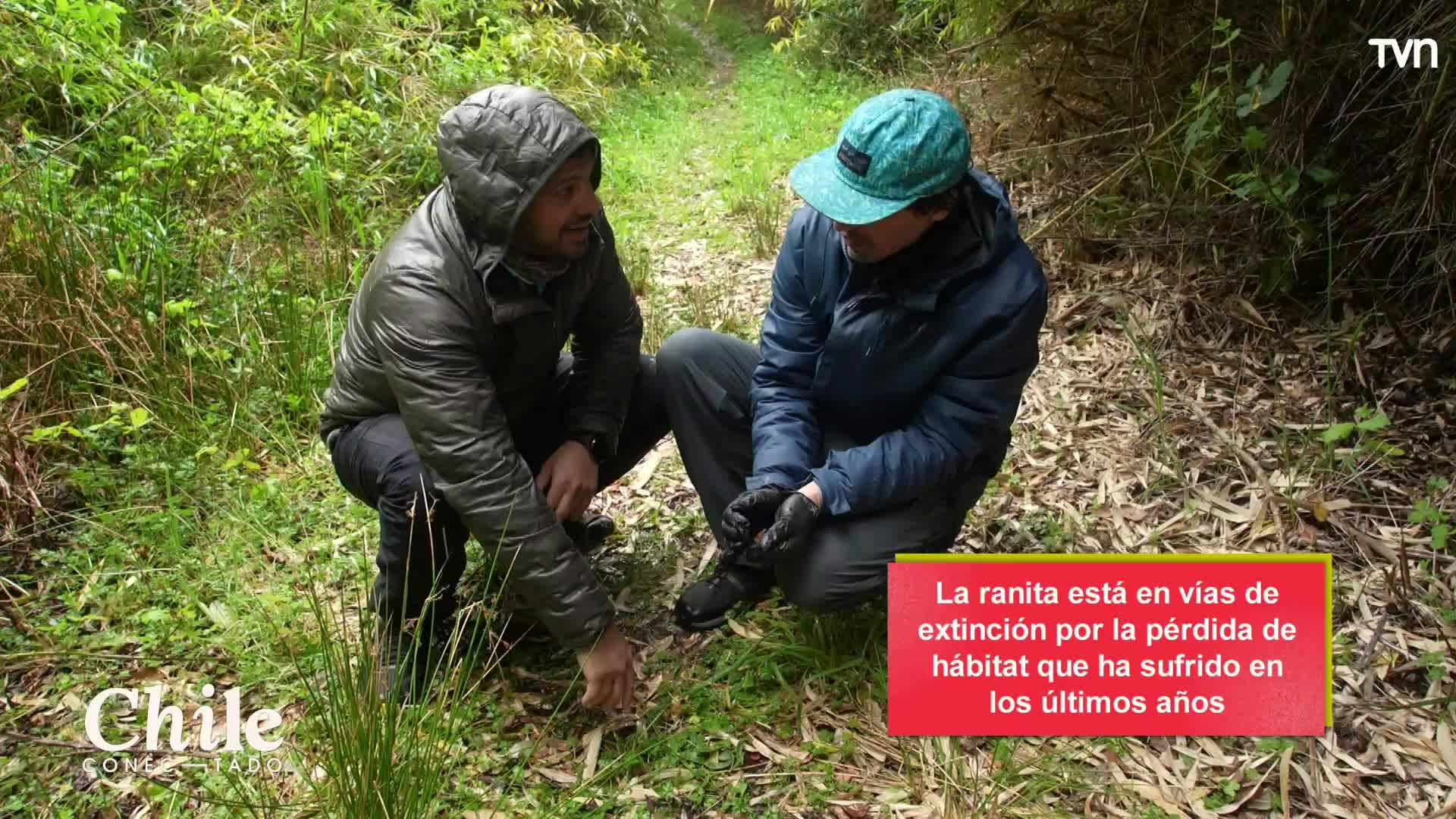 Chile Conectado: Capítulo 8 de noviembre de 2025