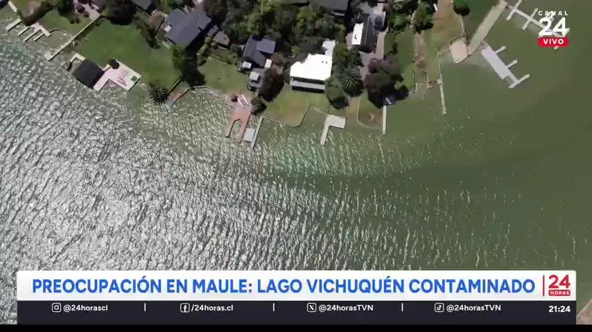 Preocupación en el Maule: Lago Vichuquén está contaminado