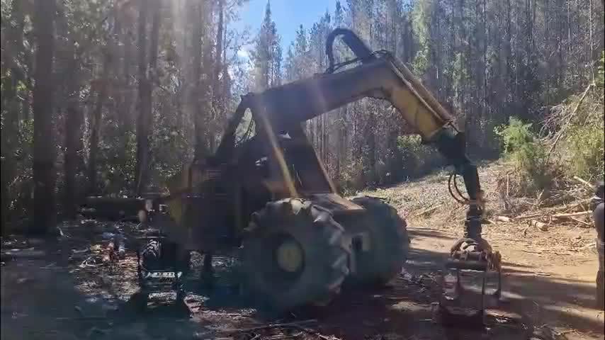 WAM ataca faena forestal en Contulmo