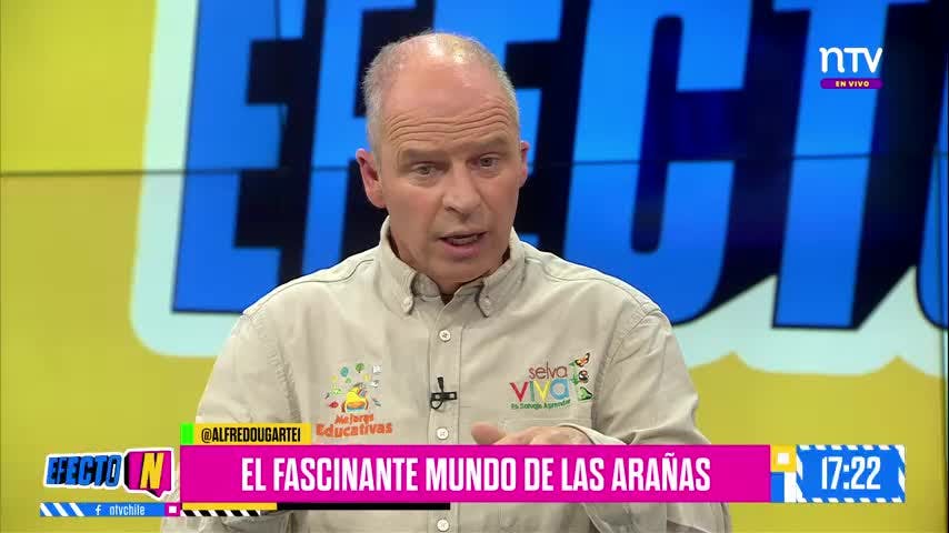 ¡DESCUBRIMOS EL MUNDO SECRETO DE LAS ARAÑAS CON ALFREDO UGARTE!
