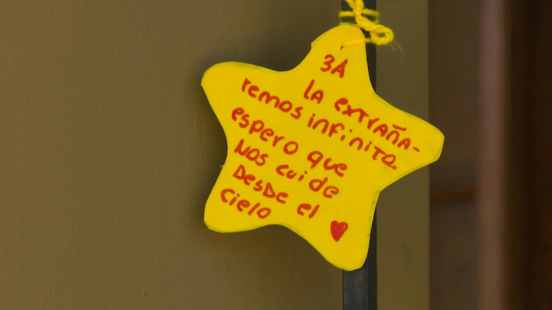 Funcionaria de colegio fallece tras atropello en Placilla 