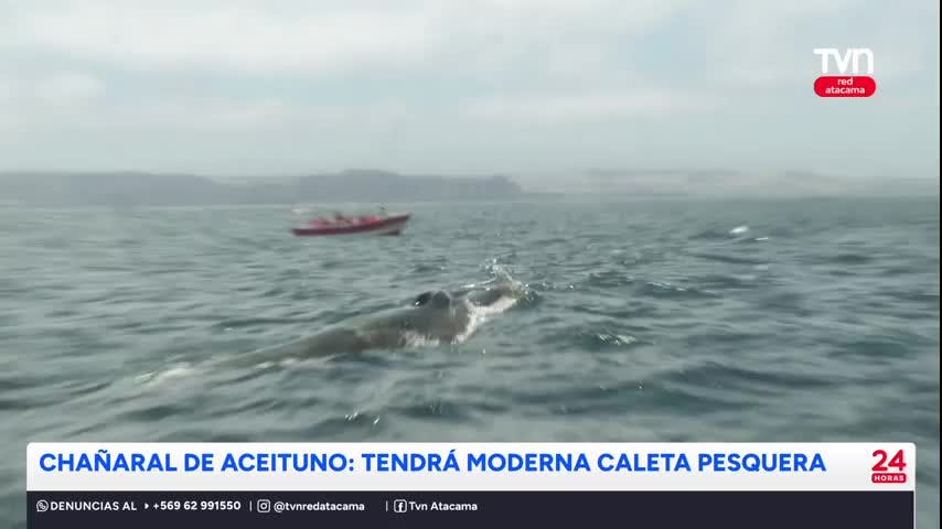 Chañaral de Aceituno contará con moderna caleta pesquera