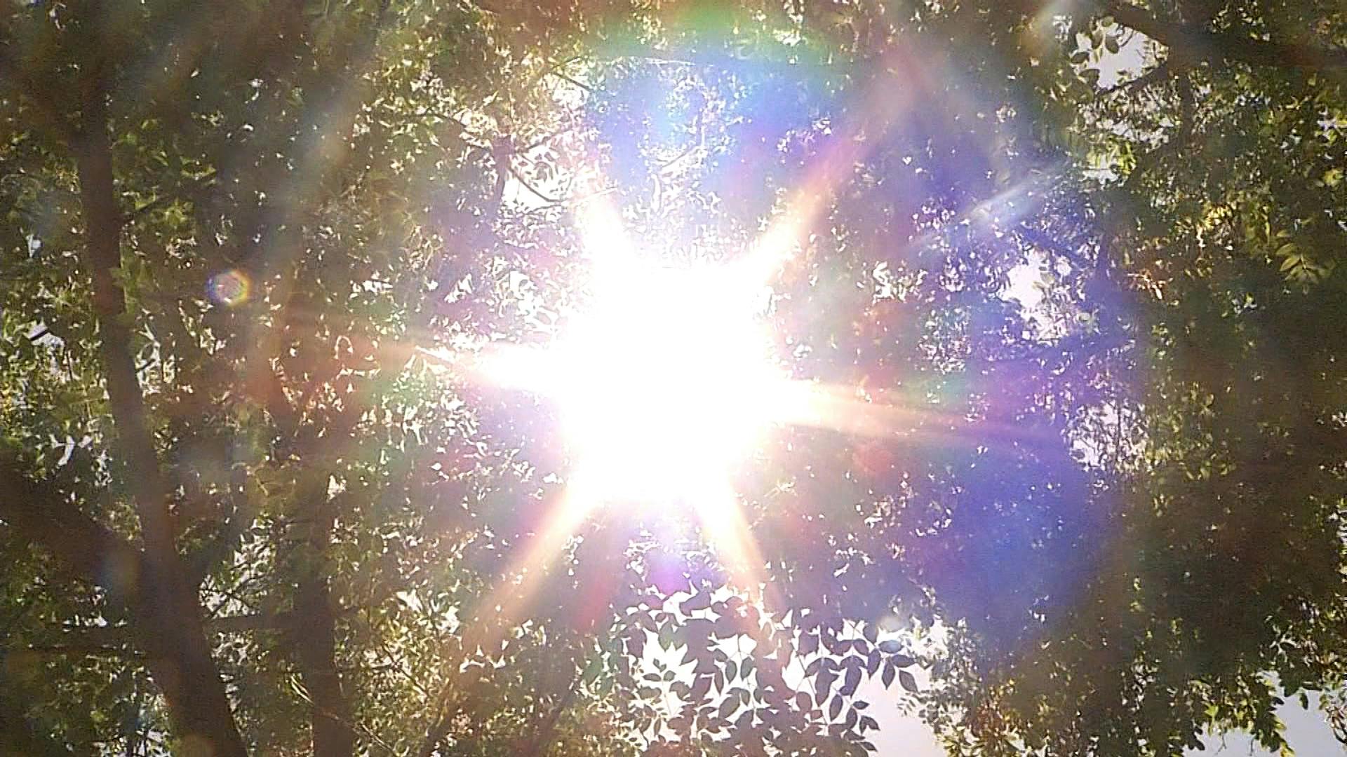 Ola de calor afectará por 3 días a la Región del Biobío