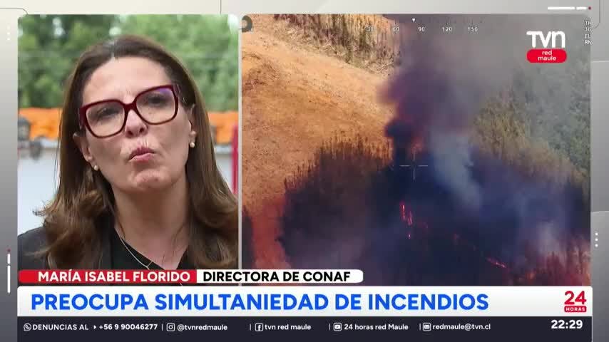 Conaf en alerta por simultaneidad de incendios forestales
