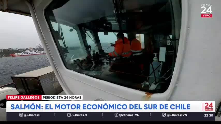 ¿Cómo se produce el salmón que exportamos al mundo? 