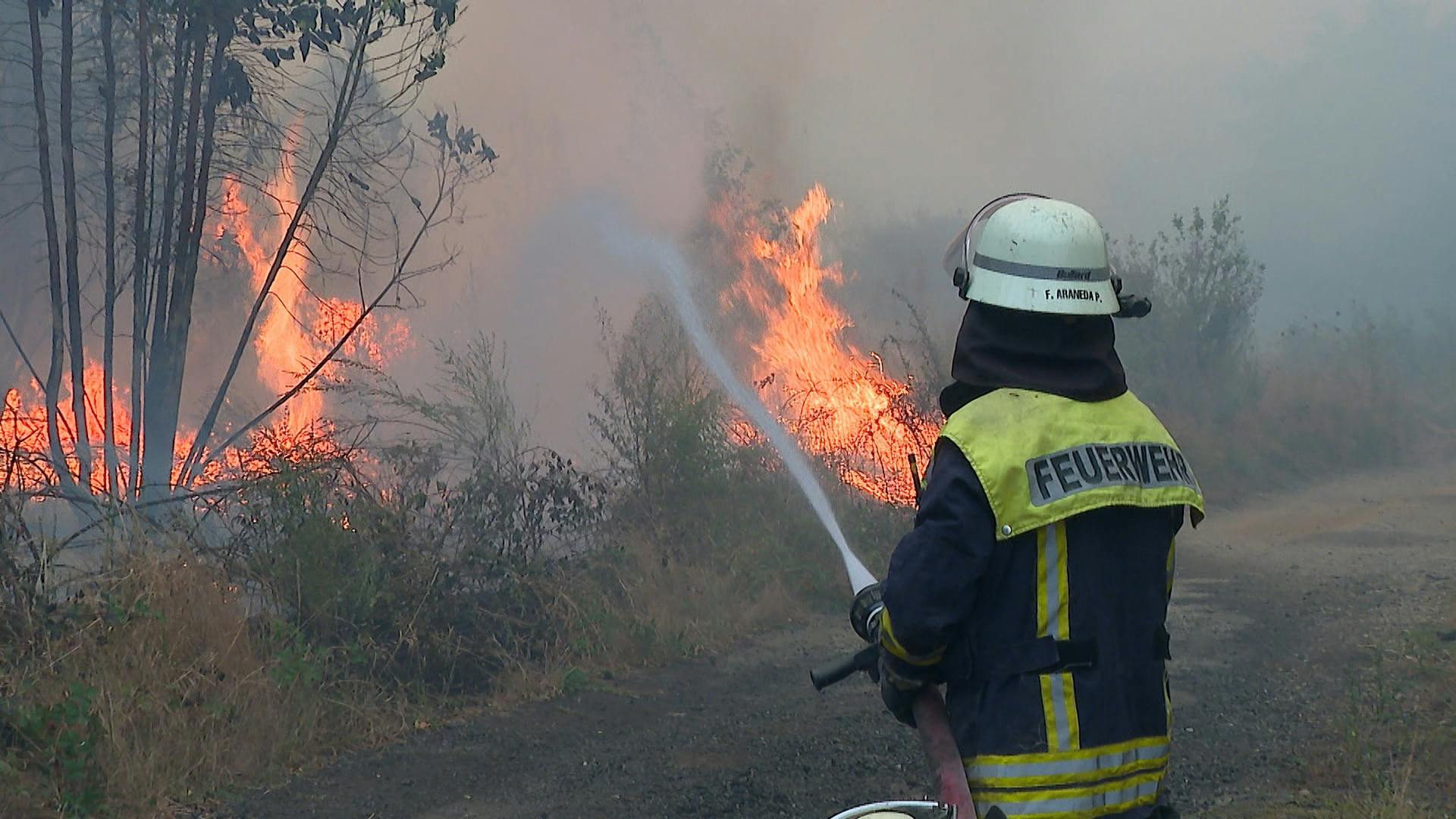 Controlan forestal incendio en Santa Bárbara