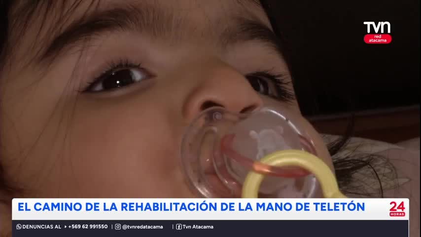 Copiapó: Buses eléctricos con acceso universal