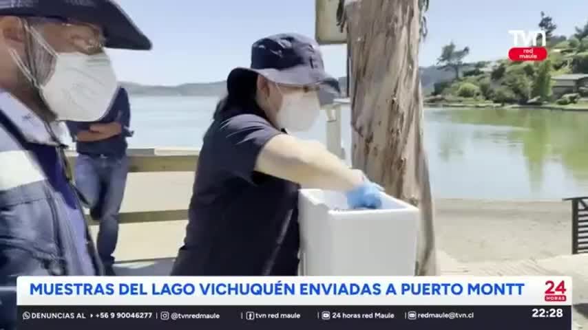 Seremi de salud y SAG