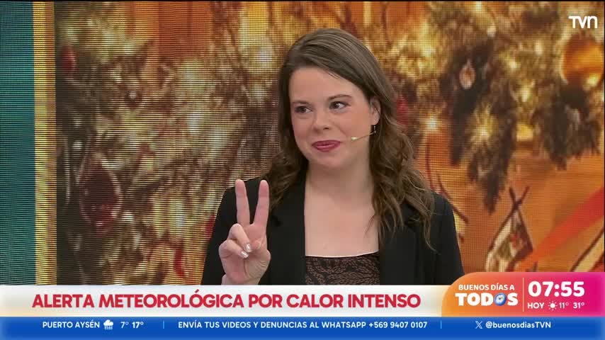 Bloqueador y mucha agua: Alerta meteorológica por calor intenso en la zona central