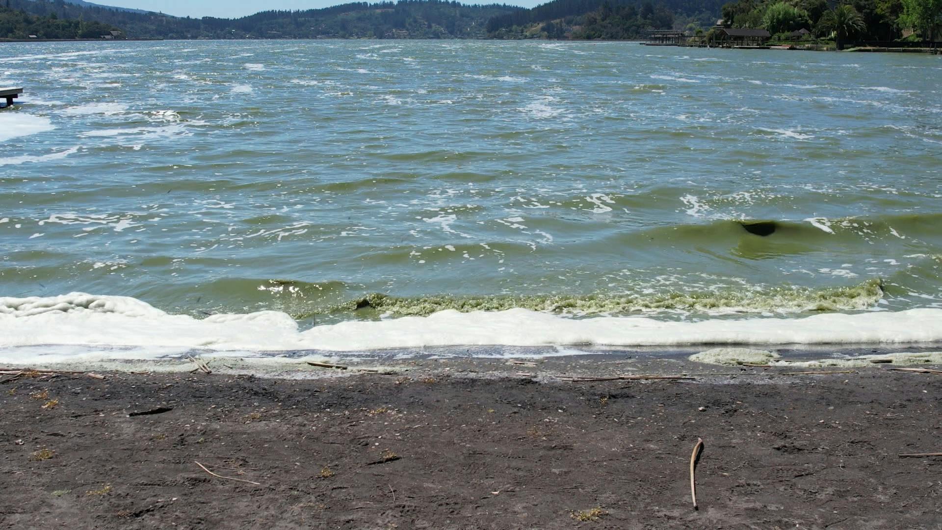 Declaran zona de riesgo sanitario al Lago Vichuquén