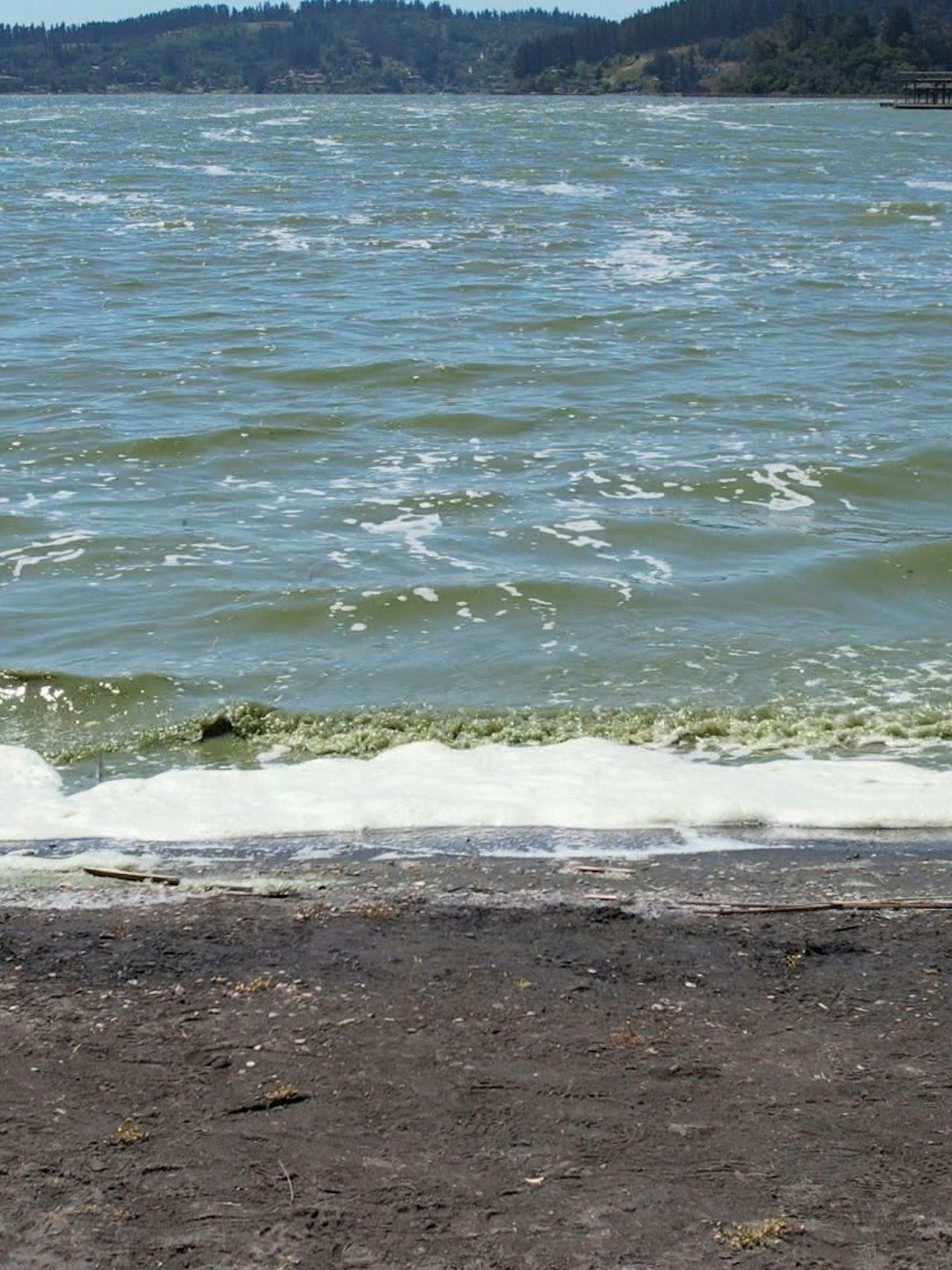 Declaran zona de riesgo sanitario al Lago Vichuquén