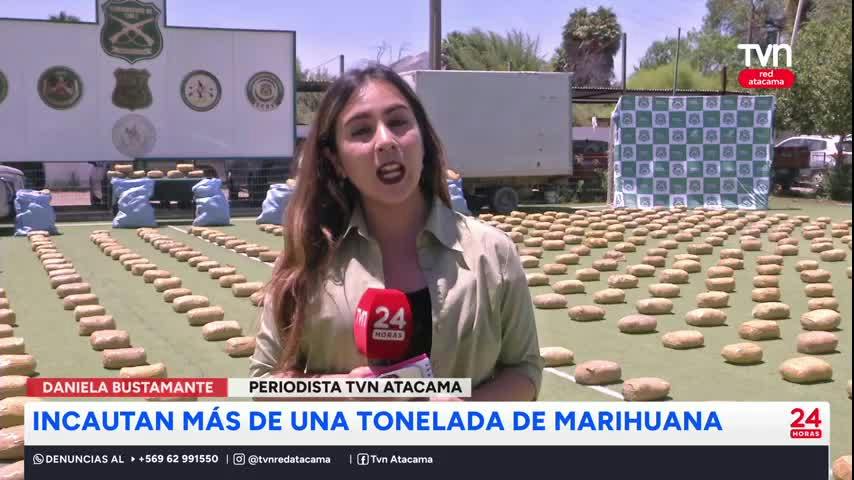 Ruta 5 Norte: Incautan más de una tonelada de marihuana