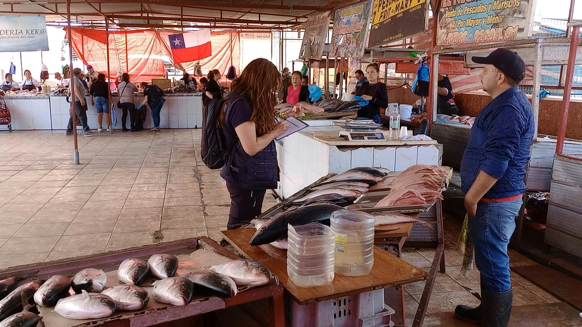 Síntesis regional de noticias: amplio operativo de fiscalización en feria de las pulgas 