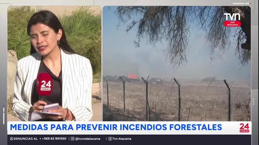 Anuncian medidas para prevenir incendios forestales