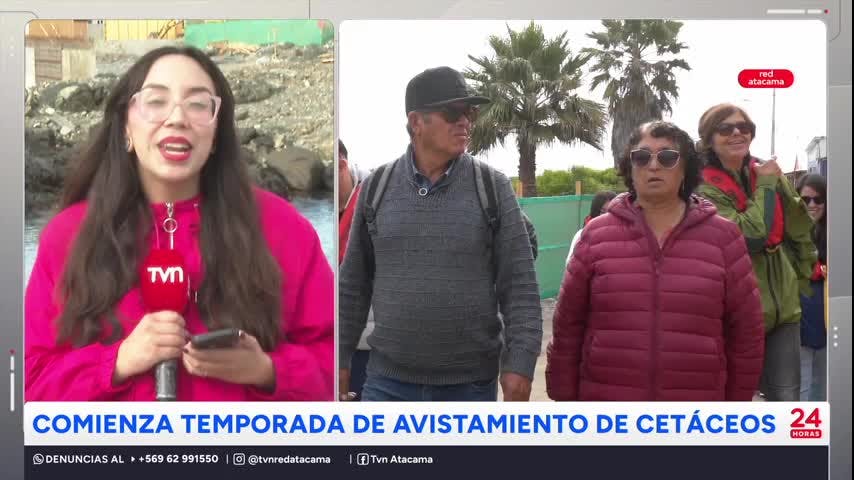 Comienza la Temporada de Avistamiento de Cetáceos