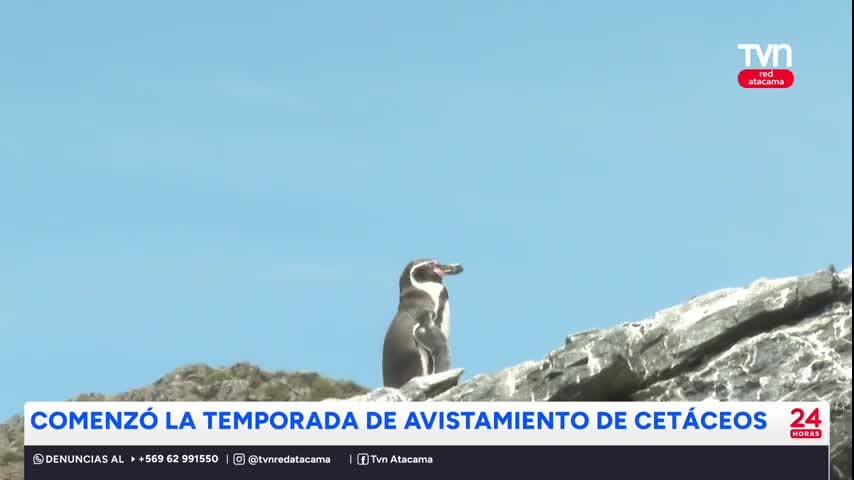 Chañaral de Aceituno: Destino turístico imperdible de Atacama