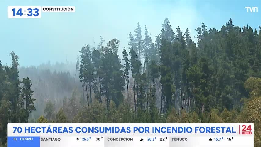 Alerta roja por incendio forestal a metros de viviendas en constitución