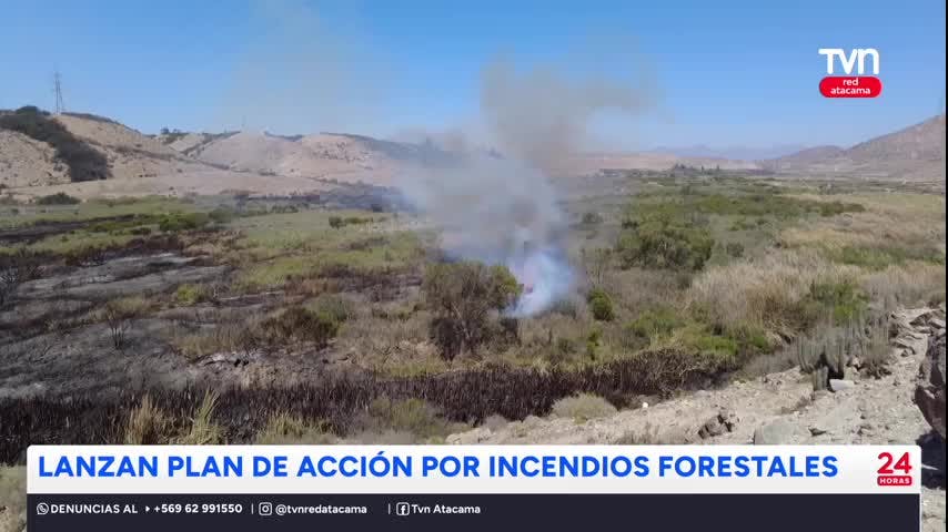 Plan para prevenir y combatir incendios forestales