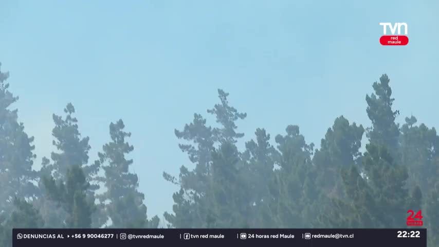 Incendio consume 70 hectáreas en Constitución
