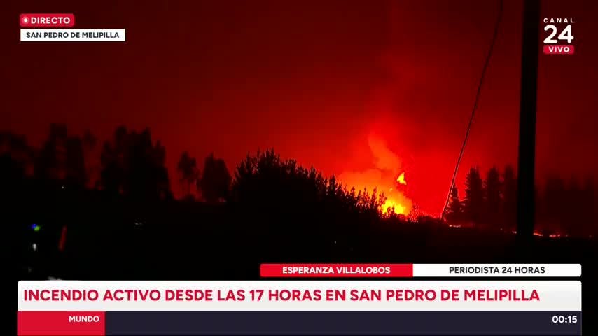Decretan Alerta Roja en San Pedro de Melipilla por incendio forestal: solicitan evacuar