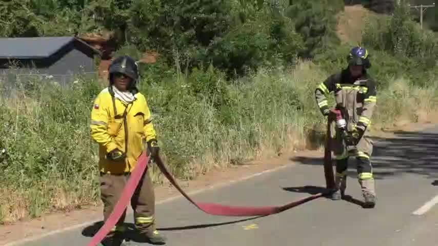 Conaf activa el Botón Rojo en 16 comunas del Biobío