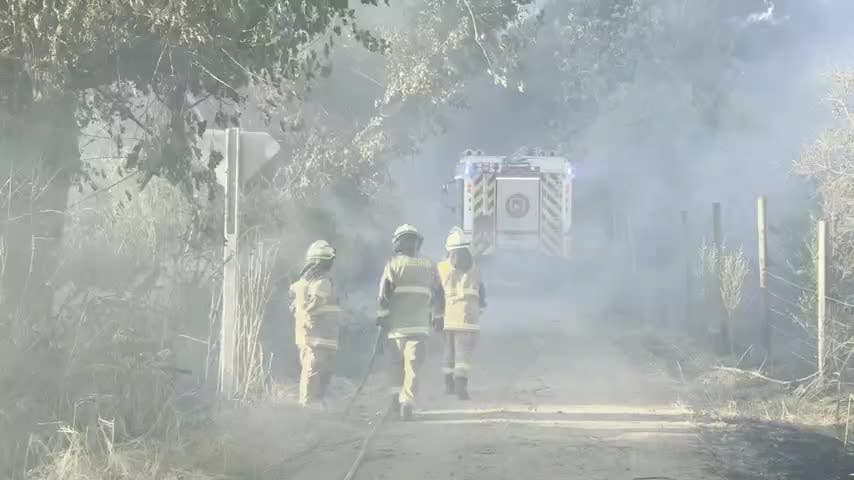 Tres focos de incendios se mantienen en Biobío  donde el más complejo es el de Santa Fe en Los Ángeles