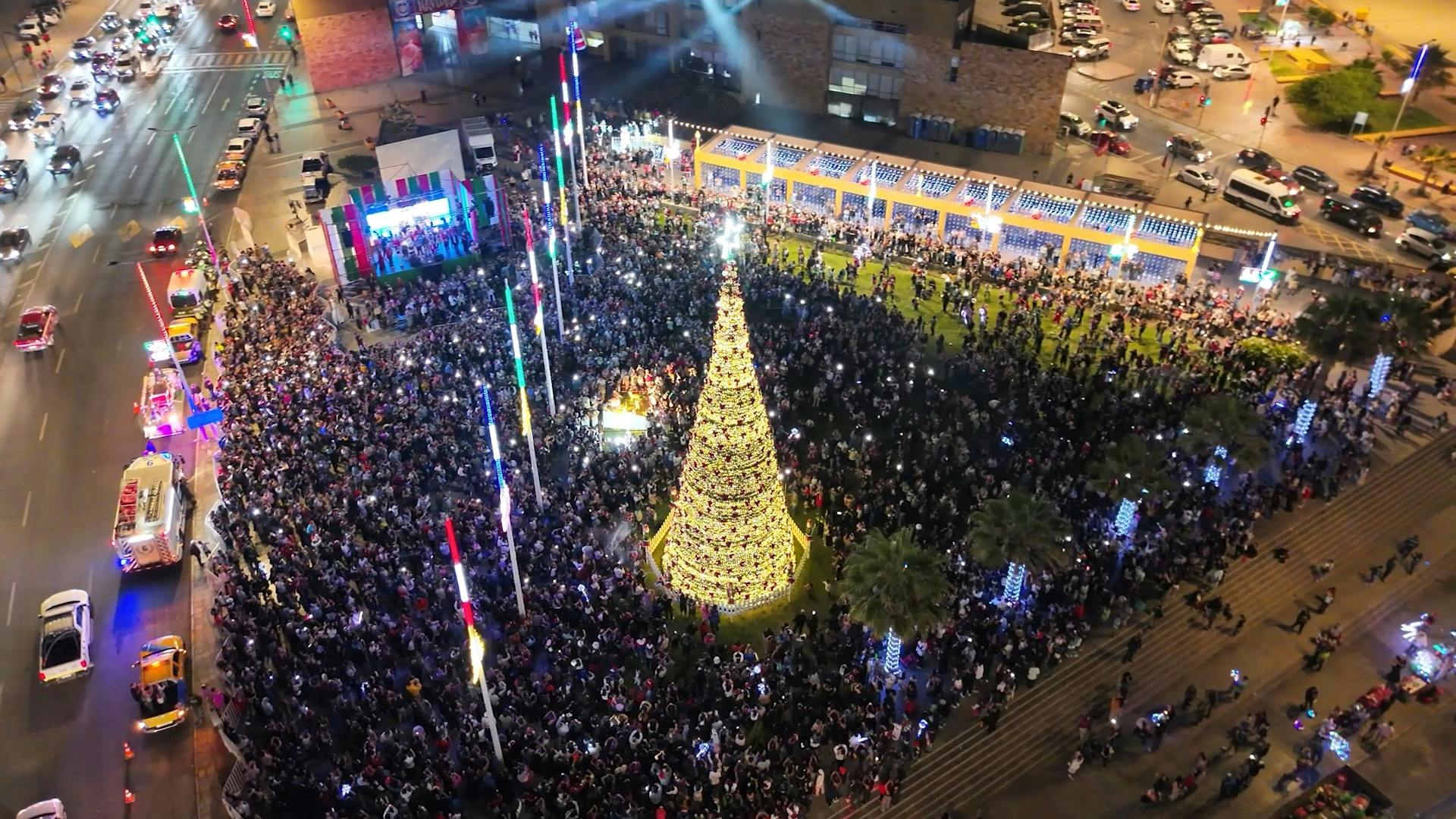 Masiva actividad de encendido del árbol navideño 