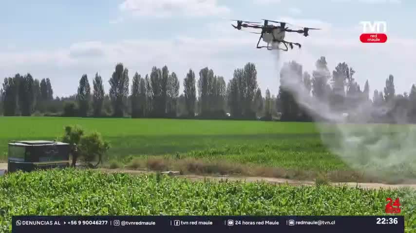 IA ingresa a la agricultura tradicional
