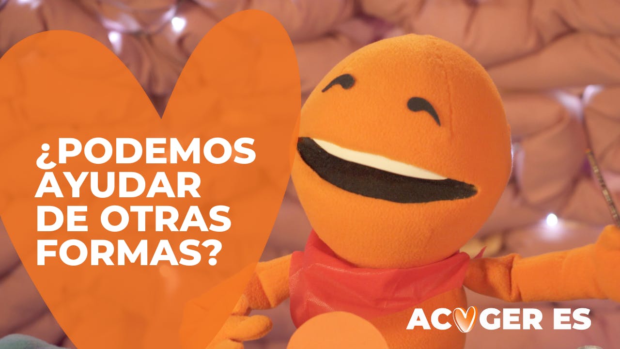 Acoger es en NTV: ¿Podemos ayudar de otras formas?