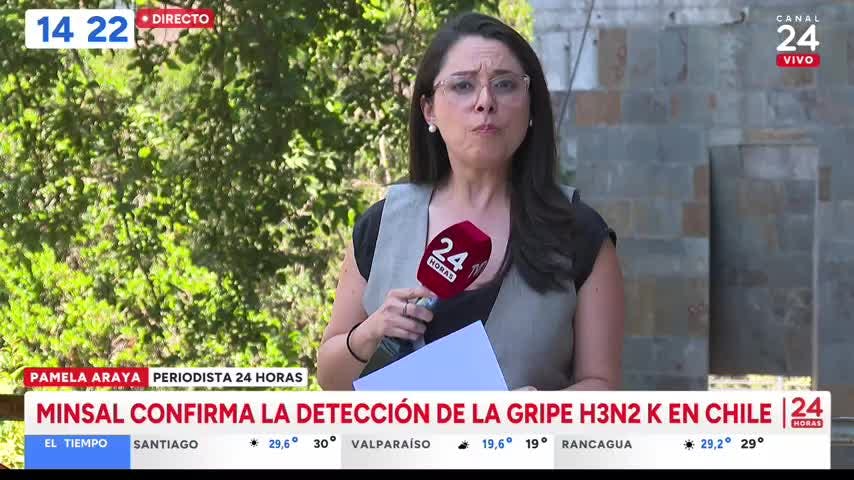 Subclado K de influenza A(H3N2) en Chile: Minsal descarta aumento de gravedad