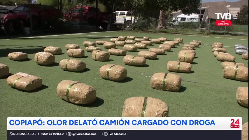 Fuerte olor a marihuana delató a conductor