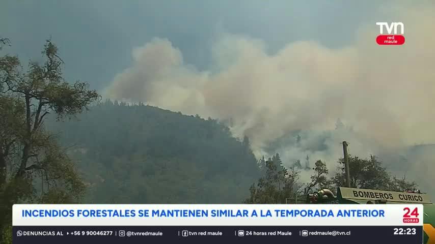 Aumenta el riesgo de incendios forestales en el Maule