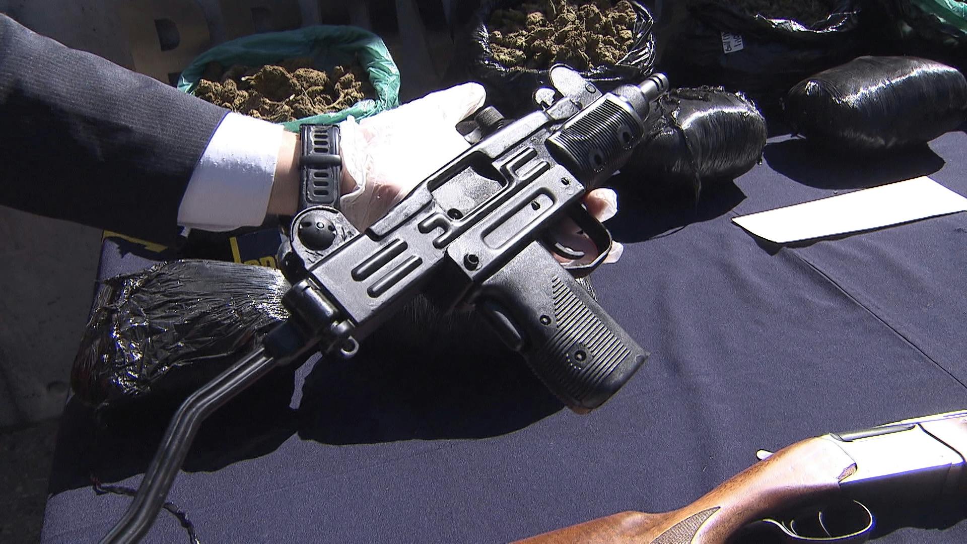 Cae banda que cultivaba droga y portaba UZI robado a la PDI
