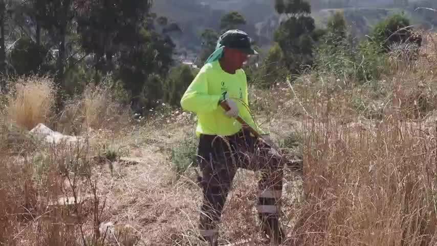 Un 97% de avance tiene plan de cortafuegos en la Región del Biobío