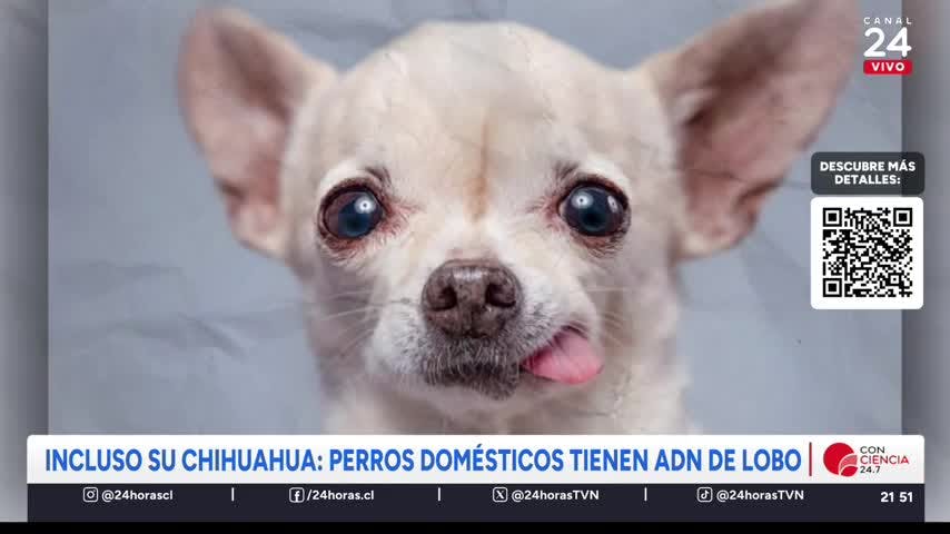 Conciencia 24.7 en 24 Horas: 27 de noviembre de 2025