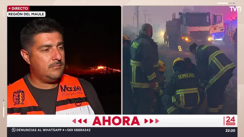 Más de 250 hectáreas quemadas en Maule | 24 Horas TVN - Red Maule