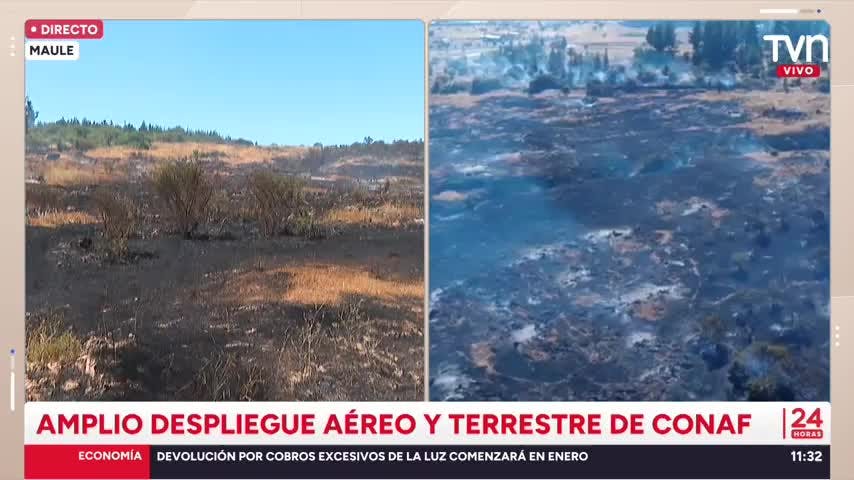Reportan más de mil hectáreas quemadas en la región del Maule