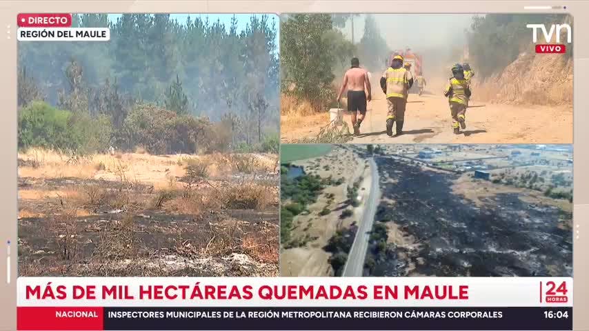 Más de mil hectáreas quemadas en Maule