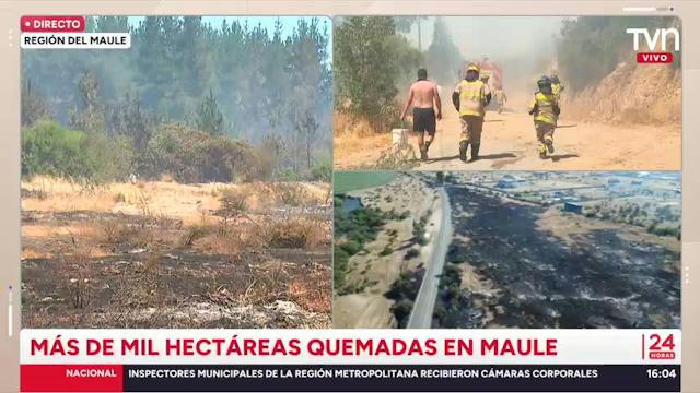 Más de mil hectáreas quemadas en Maule